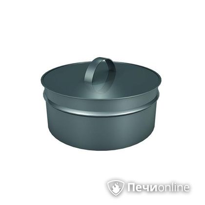 Заглушки Теплов и Сухов Заглушка ревизии Термо-Р 304 0.5 D250(150) в Магадане