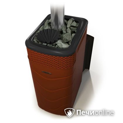 Дровяная банная печь TMF Гейзер XXL 2017 Inox Витра закрытая каменка терракота в Магадане
